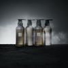 Reno Chronosharme Siguchi Collection Treatment [300mL]