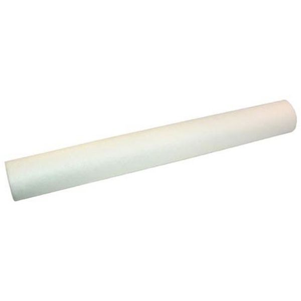 Everpure Cartridge, Water Filter-Ec210 EV953420