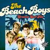 Greatest Surf Hits [VINYL]