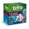 Loyd the Magic Experience Blackberry & Blueberry Fruit Tea