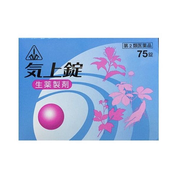 【第2類医薬品】ホノミ漢方 気上錠75錠