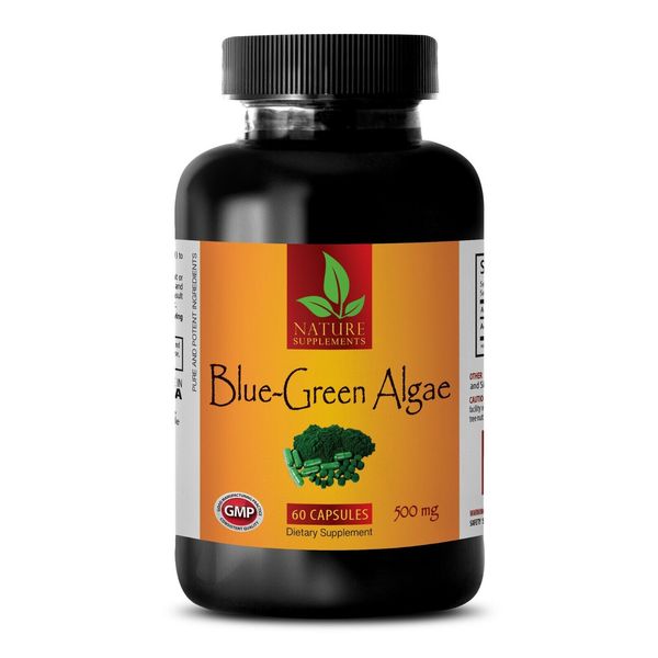 antioxidant optimizer - ORGANIC BLUE GREEN ALGAE - brain supplement 1 BOTTLE