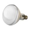 Kerbl Hard Glass Ifrared Lamp 150 W Transparent