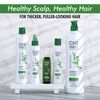 Chi Power Plus Exfoliate Shampoo, Hair Renewing System, 355 ml
