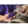 WAHL Cordless Mini Pro Pet Trimmer/Clippe