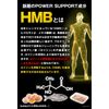 ＨＭＢ ＭＥＧＡ ３２７０ 53.9g（350mg×154粒）
