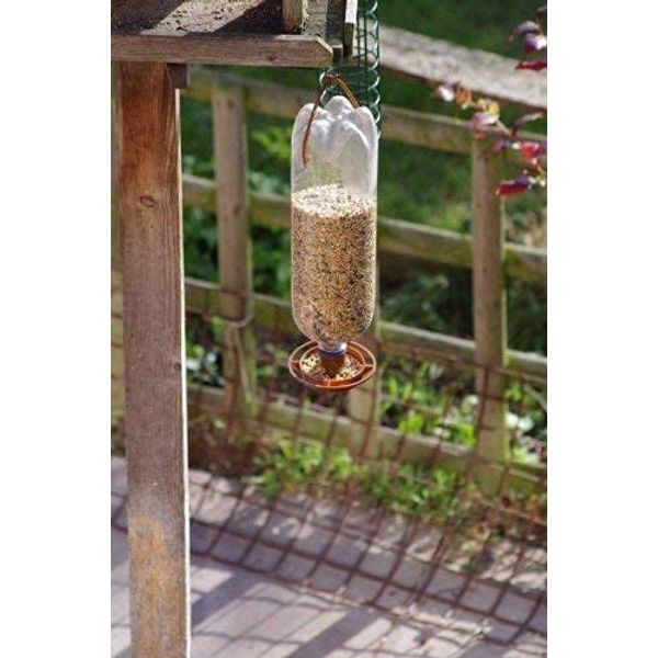 Bottle Top Bird Feeder Kit