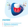 Meridol Parodont Expert Toothpaste 75ml