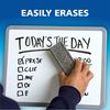 EXPO Low Odor Dry Erase Markers Chisel Tip Blue 12 Count
