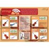 Stringed instruments A1 wall poster - to bow or not to bow