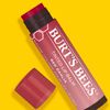 Burt's Bees 100% Natural Tinted Lip Balm