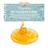 Fermentaholics USDA Certified Organic Honey (1-Pack)