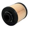 Big Filter Replacement Hydraulic Filter Compatible with MP FILTRI MF1001P10NB, 2-Pack