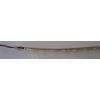 12V Flex Strip Super Bright WW 300 LED 5M Waterproof