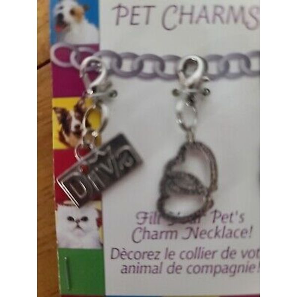 Talk to the Paw Pet Charms Silver Tone