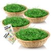 com-four® 4x Easter baskets with decorative grass and egg colors - Easter baskets with green grass - raffia basket with Easter grass (Set nature brown 1)
