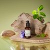 Perricone MD Hypoallergenic Clean Correction Smoothing Restorative Serum