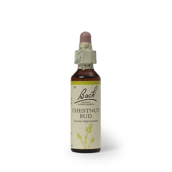 Bach Original Flower Remedy Chestnut Bud 20 ml