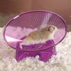 Ware Manufacturing Flying Saucer Exercise Wheel for Small Pets, 7 1/4-Inch - Colors May Vary
