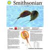Smithsonian Prehistoric Sea Monsters 23x17 inches