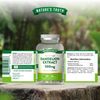 Nature's Truth Dandelion Tablets - 500mg High High Strength Dandelion Root Extract - 60 Tablets - Vegan