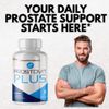 Prostovit Plus- Prostate Support- 60 Capsules