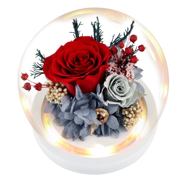 TGELATA Flowers Roses Gift for Women: Long-Lasting Fresh Real Flowers to Express Love - Preserved Flowers Perfect for Birthday, Mother's Day, Any Occasion - Forever Rose Ideal for Home Décor