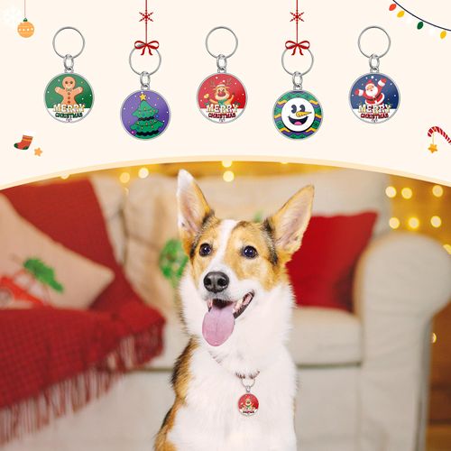 PawView Smart QR Code Pet Tag, Christmas Dog Tags Personalized for Pets, Cat Tag, for Christmas Dog Collars & Harnesses, Modifiable Pet Profile, Emergency Contacts, Scan QR for Instant Location Alerts