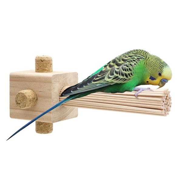 Parrot Chewing Stopper Toy Stand Perches Lollipop Stick Bird Toy Intelligence and Emotions Wood Foraging Toys for Parrots Cage Accessory (Wood-Lollipop, 1 Pack)