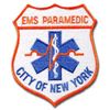 GUARD EMS Emblem 10-023O