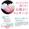 Systema Haguki Plus Toothbrush, Compact, Regular, Set of 3 (*Color cannot be selected)