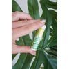 Eco Lips Bee Free Vegan Lip Balm Made Without Beeswax | Candelilla Wax, Organic Cocoa Butter & Coconut Oil Lip Care. Soothe & Moisturize Dry, Cracked and Chapped Lips - 100% Plastic-Free Plant Pod Packaging - Made in USA (Variety Pack)