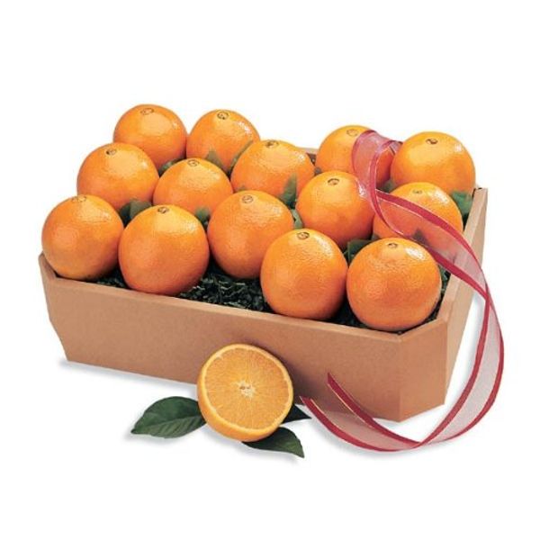 Juicy Indian River Florida Navel Oranges Grove Fresh, 10 lbs!