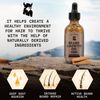Striking Viking Beard Growth Oil with Biotin (Sandalwood - 2 oz)