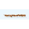 Preiser 79155 Cows - Brown & White Or Black & White