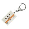 JR Tokaido Main Line Numazu Key Chain Train Goods