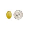 Ryukakusan Mint Flavor Herbal Drops (Supports Throat, Mouth, Upper Respiratory) (32 drops) (1 Bag) (Solstice)