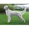 Dean and Tyler Wire Basket Muzzle, Size No. D2 - Large Doberman