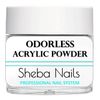 SHEBA NAILS State Board Sealed Odorless Nail Acrylic Basic Kit