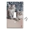 GRAPHICS & MORE Siberian Tabby Kittens Cats School Chalkboard Learning Plastic Wall Decor Toggle Light Switch Plate Cover