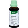 Salus Baldrian-Tropfen, 50 ml Lösung