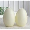 CandleCorner Eikerzen Set of 2 Egg Candles Medium Size 2 Approx 9 x 6 cm Ivory