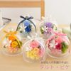 Ruplan Preserved Flower Tart Biket Sweets Set (Baumkuchen) (Peach )