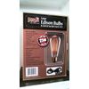 Holiday BrightLights 02015 Large Edison Bulbs & E26 10-Socket Cord, FS