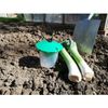 Dragonfli Leek Moth Pheromone Trap - Reusable Glue Free Trap Includes Pheromone Lure