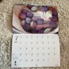 MIKI CALENDAR 2025 プルーンの光