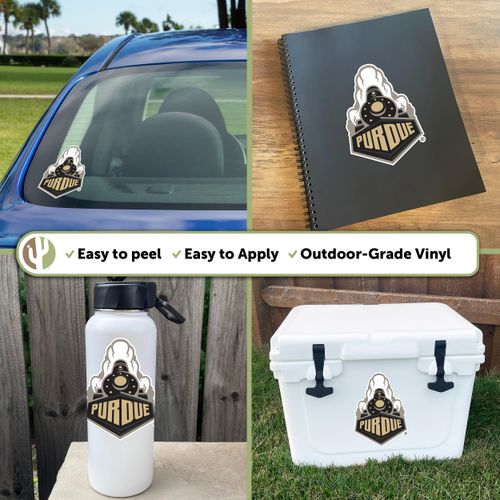 Desert Cactus Purdue University Sticker Boilermakers Vinyl Decal Laptop Water Bottle Car Scrapbook (IND 6)