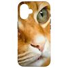 Adorable Ginger Tabby Cat Posing Pet Portrait Case for iPhone 16