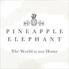 Pineapple Elephant Tamba Jersey Stripe Oxford Pillowcase Pair Natural