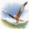 Heritage Crafts Red Kite cross stitch kit
